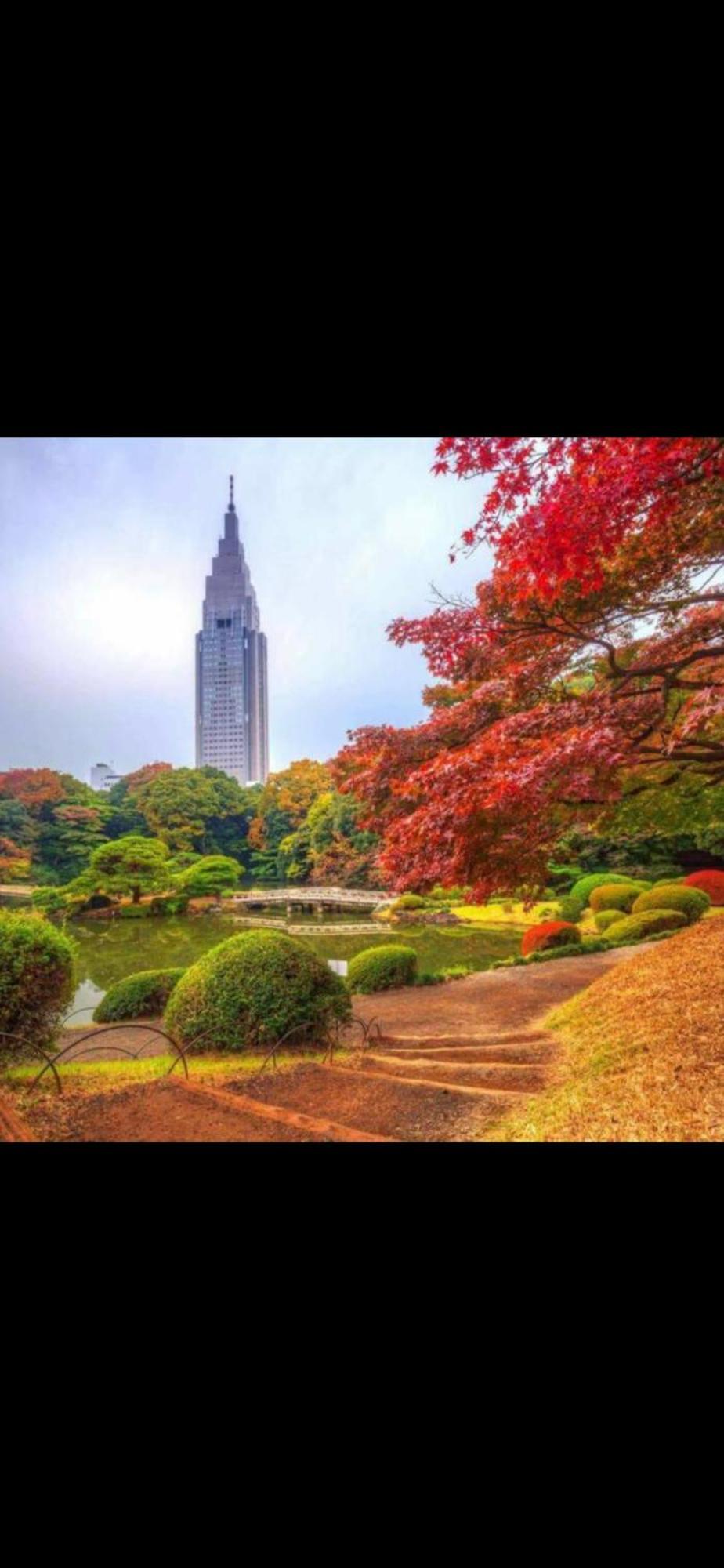公寓 新宿庭院の屋-shinjuku Garden -28 Square Meters King Size Bed Garden 東京都