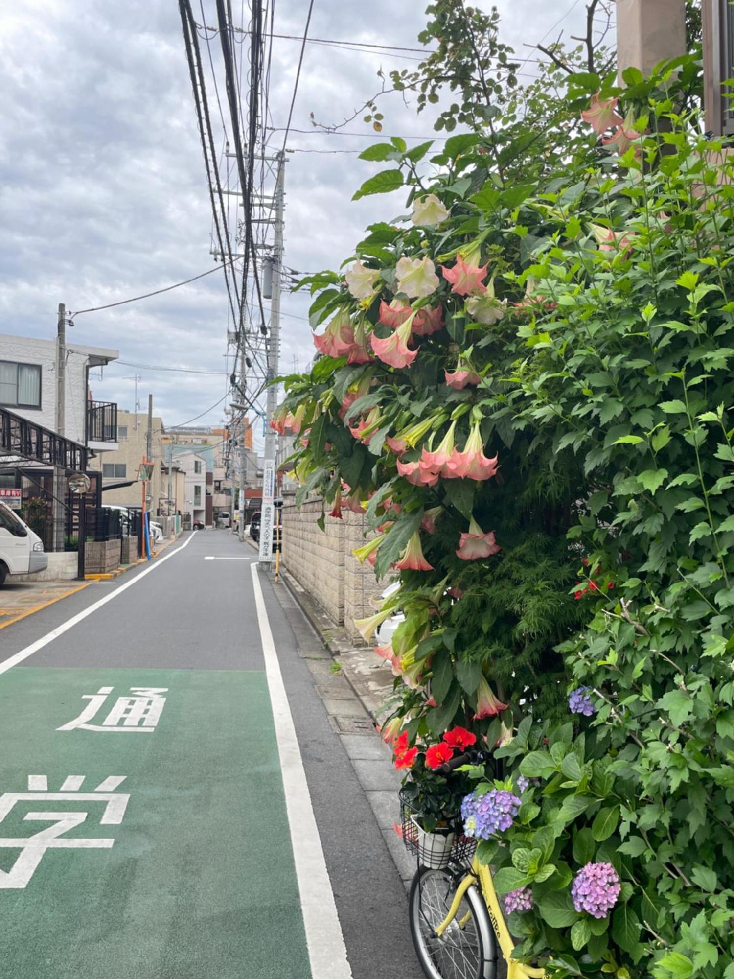 公寓 新宿庭院の屋-shinjuku Garden -28 Square Meters King Size Bed Garden